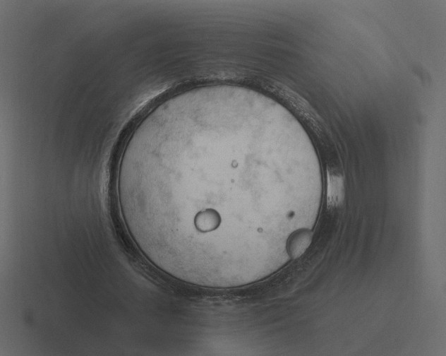 X0000116340627200912291613