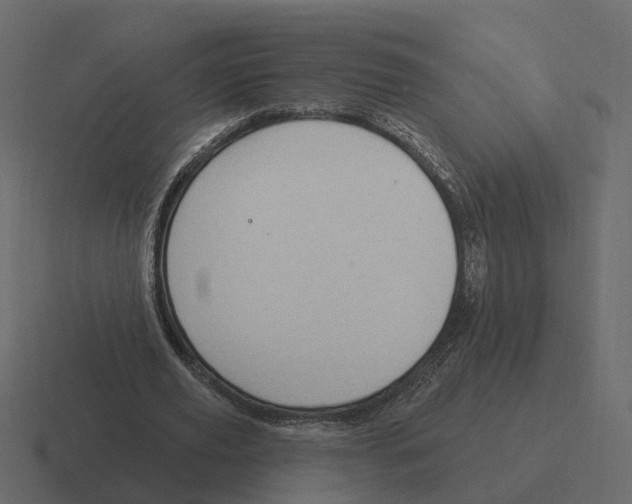 X0000116340629200912291613