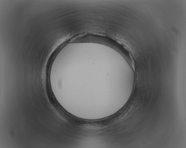 X0000116340630200912291613