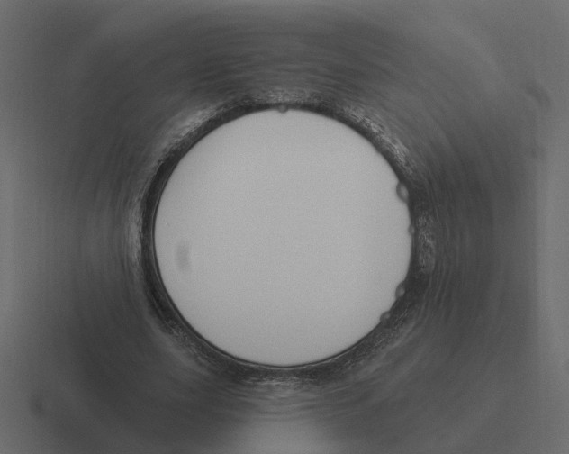 X0000116340631200912291613