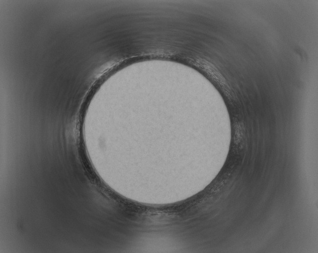 X0000116340632200912291613