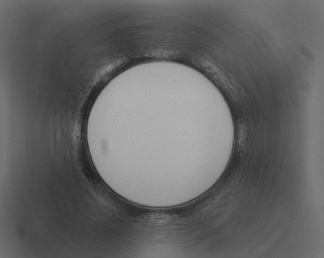 X0000116340636200912291613