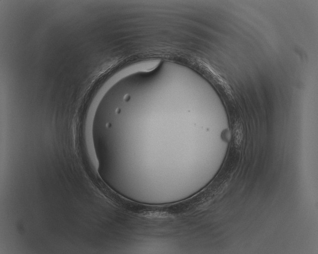 X0000116340637200912291613