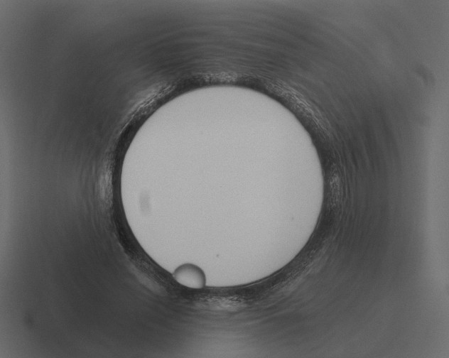 X0000116340638200912291613