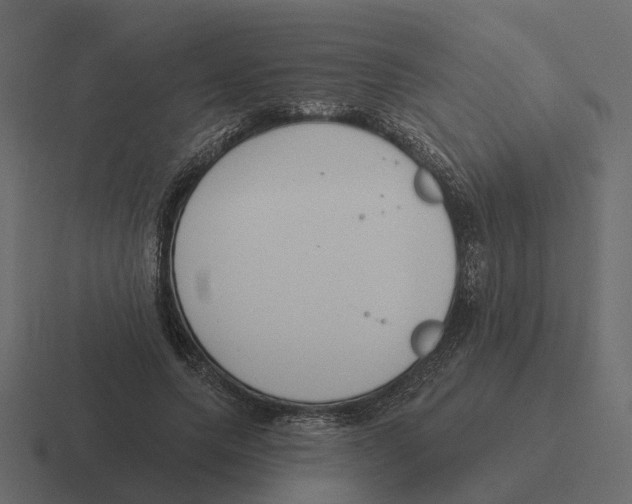 X0000116340639200912291613