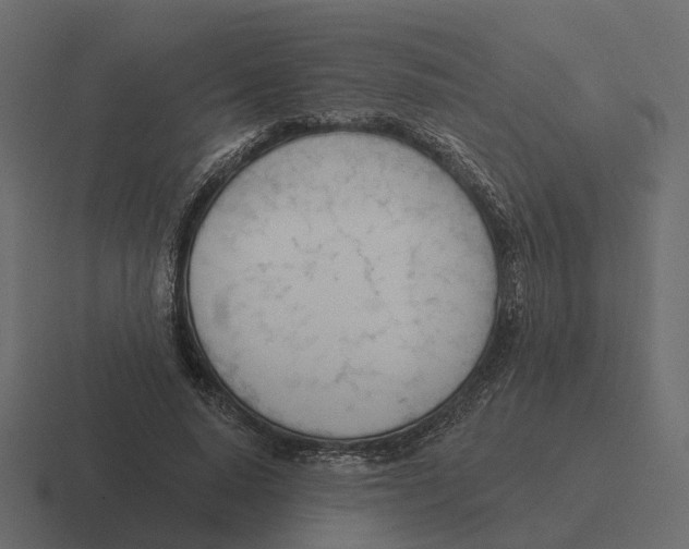 X0000116340640200912291613