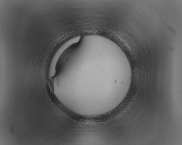 X0000116340641200912291613