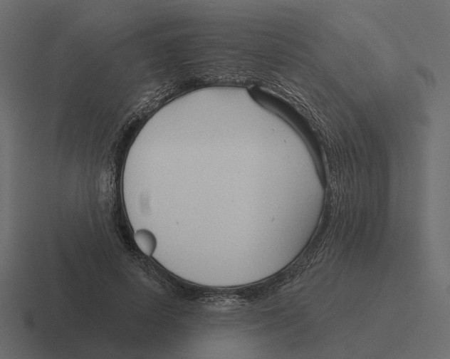 X0000116340642200912291613