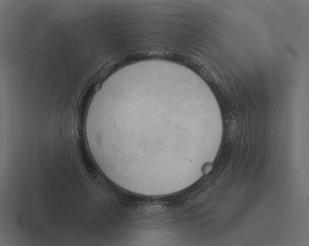 X0000116340643200912291613