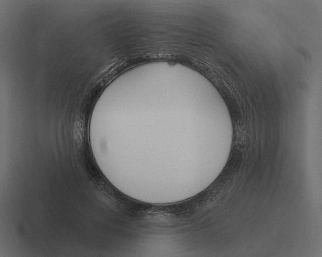 X0000116340648200912291613