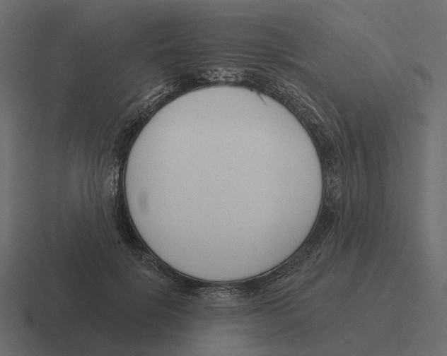 X0000116340652200912291613