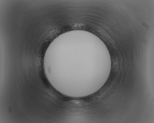 X0000116340654200912291613