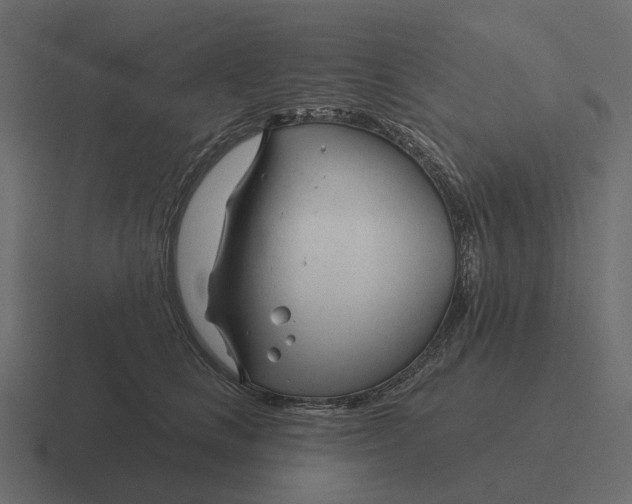 X0000116340661200912291613