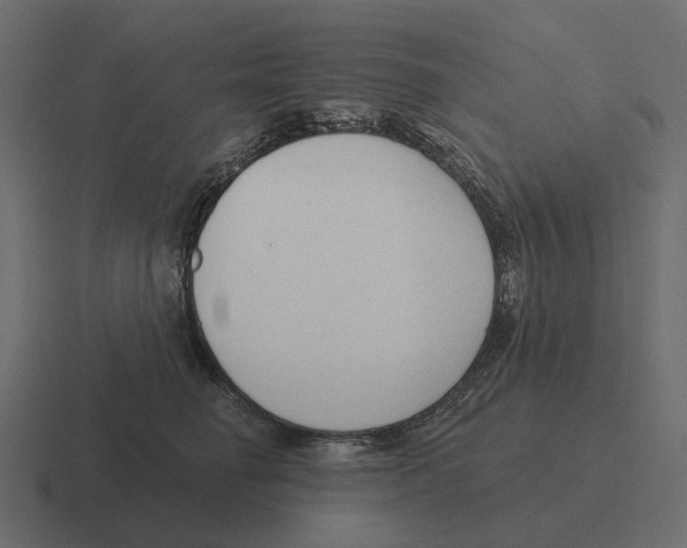 X0000116340662200912291613