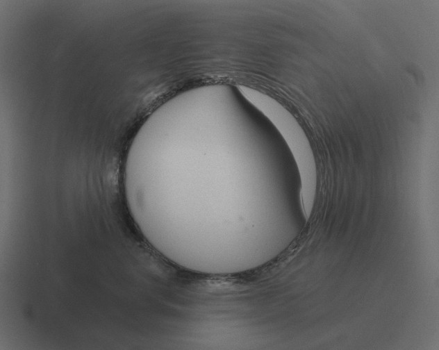 X0000116340668200912291613