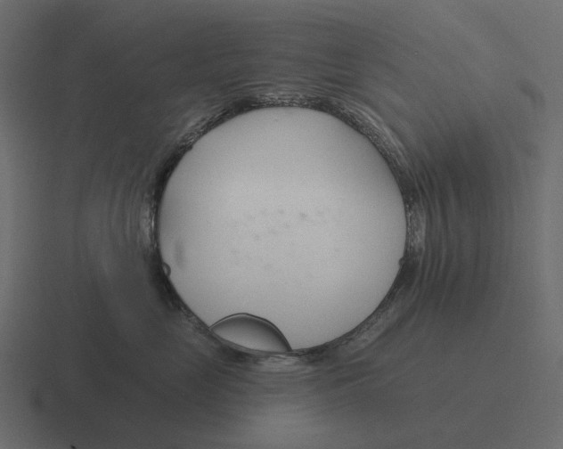 X0000116340669200912291613