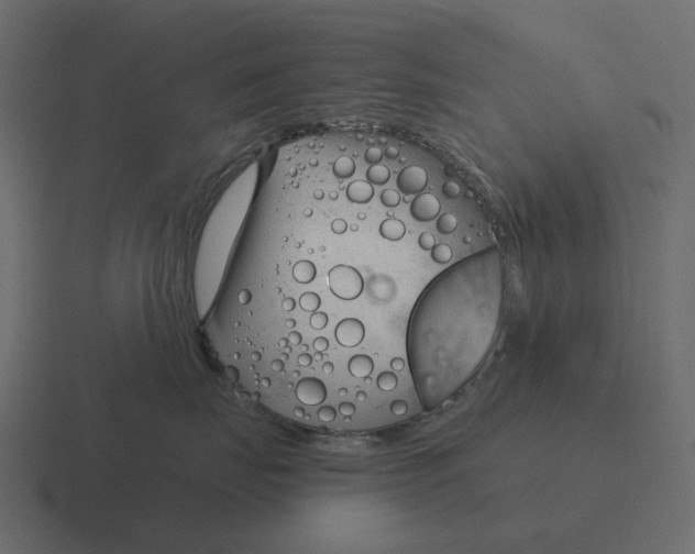 X0000116340671200912291613