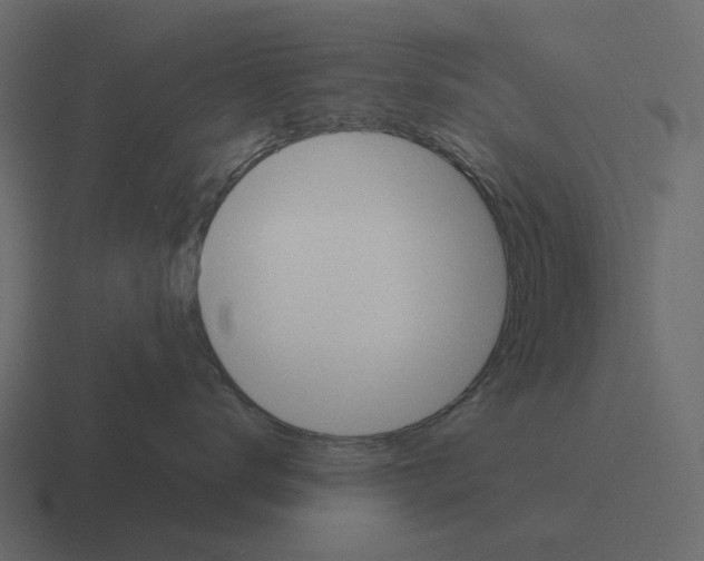 X0000116340672200912291613