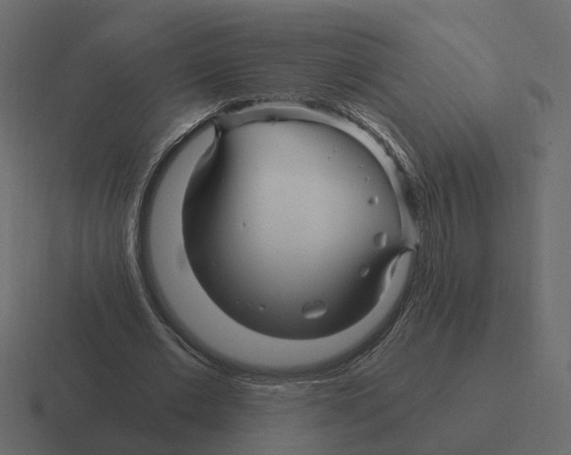 X0000116340677200912291612