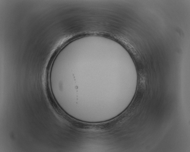 X0000116340678200912291612