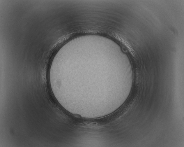 X0000116340681200912291612