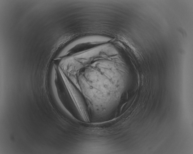 X0000116340685200912291612