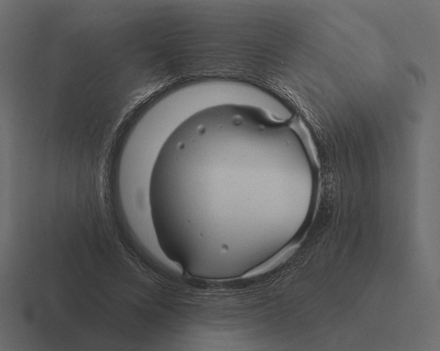 X0000116340688200912291612