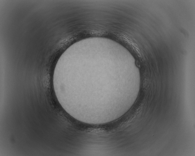 X0000116340689200912291612