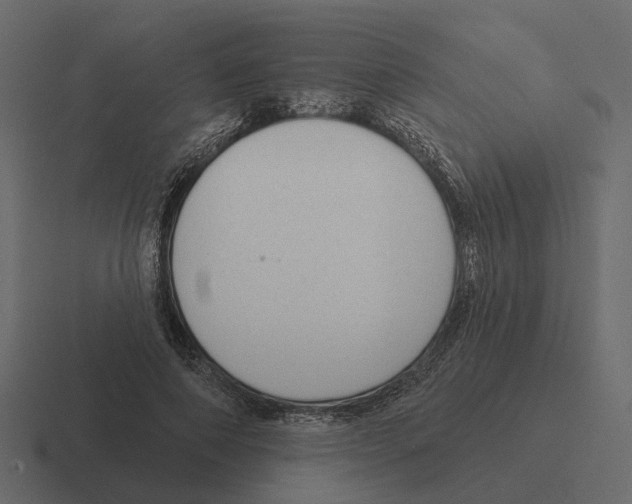 X0000116340690200912291612