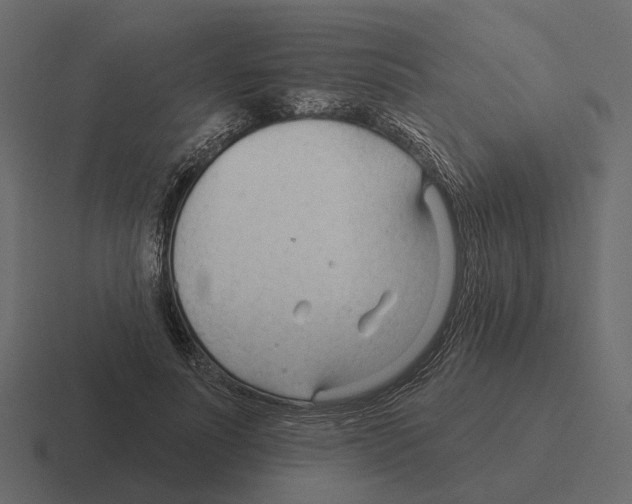 X0000116340691200912291612