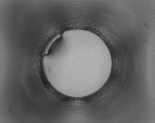 X0000116340695200912291612