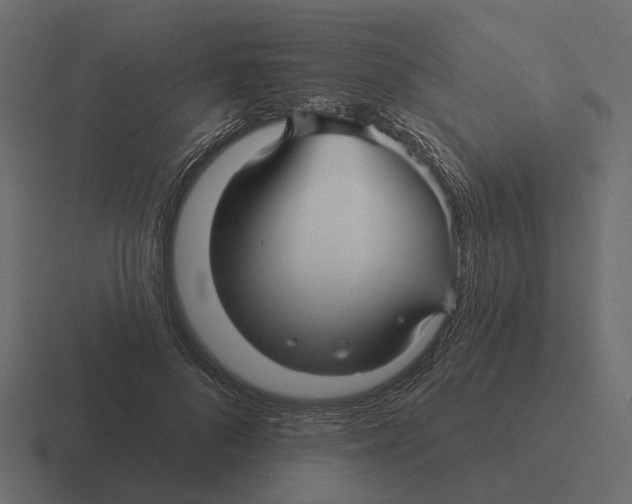 X0000116340696200912291612