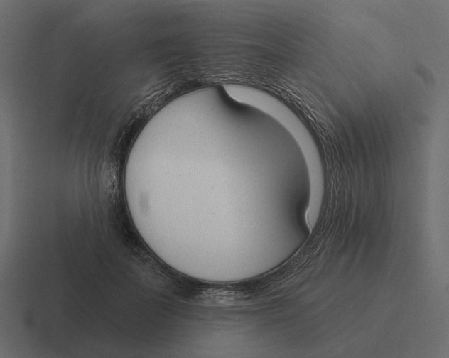 X0000116340699200912291612