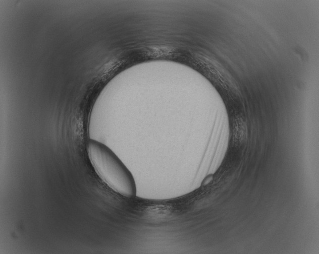 X0000116340700200912291612