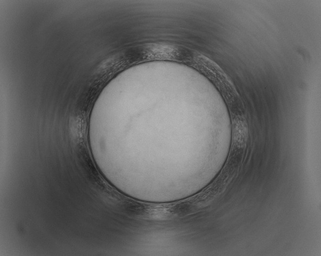 X0000116340701200912291612