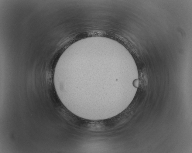 X0000116340714200912291612