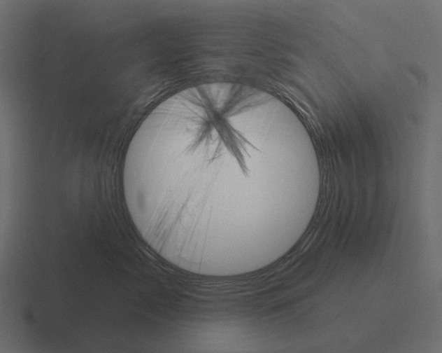 X0000116340717200912291612