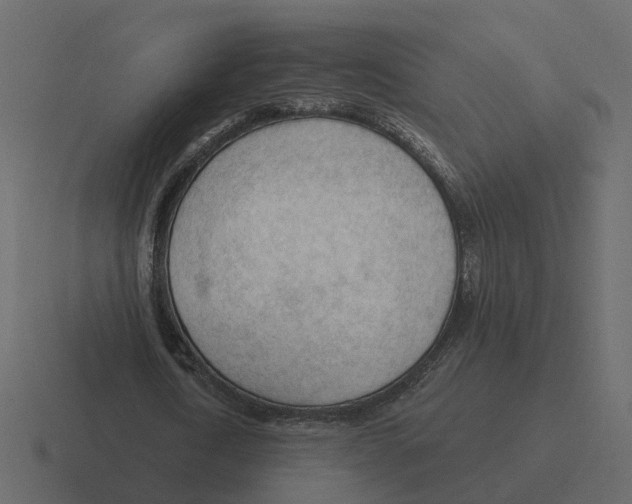 X0000116340722200912291611