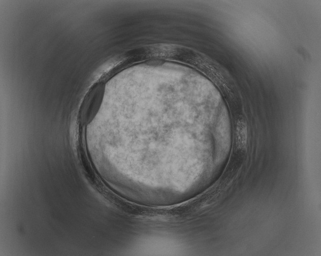 X0000116340726200912291611