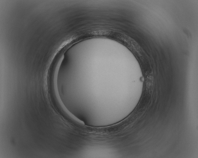 X0000116340727200912291611