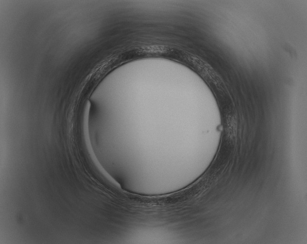 X0000116340731200912291611