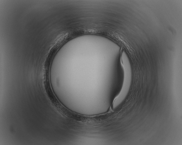 X0000116340738200912291612