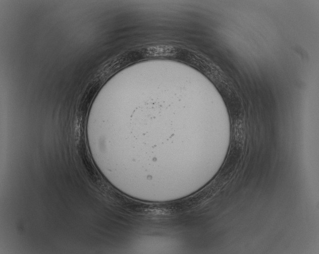 X0000116340741200912291612