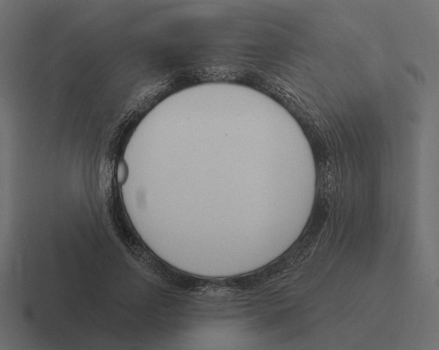 X0000116340742200912291612