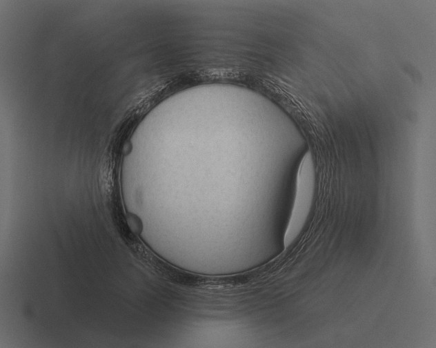 X0000116340746200912291612