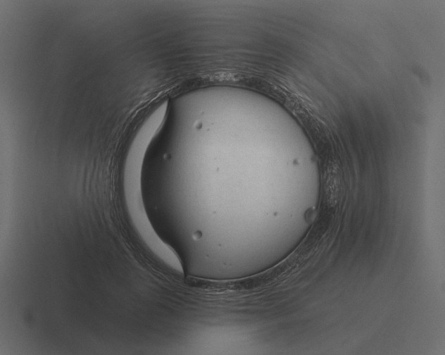 X0000116340747200912291612