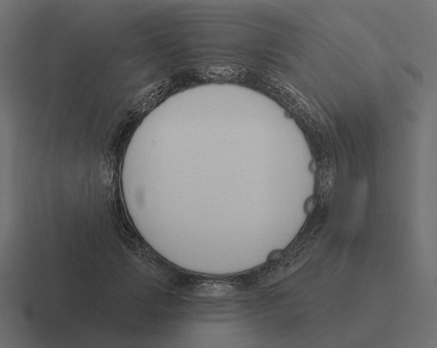 X0000116340749200912291612