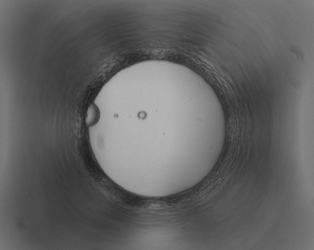 X0000116340750200912291612