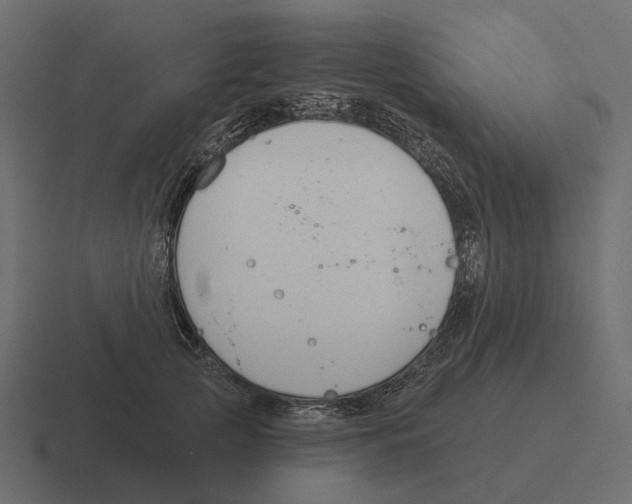 X0000116340753200912291612