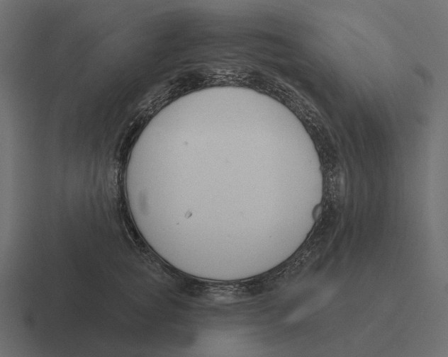 X0000116340757200912291612